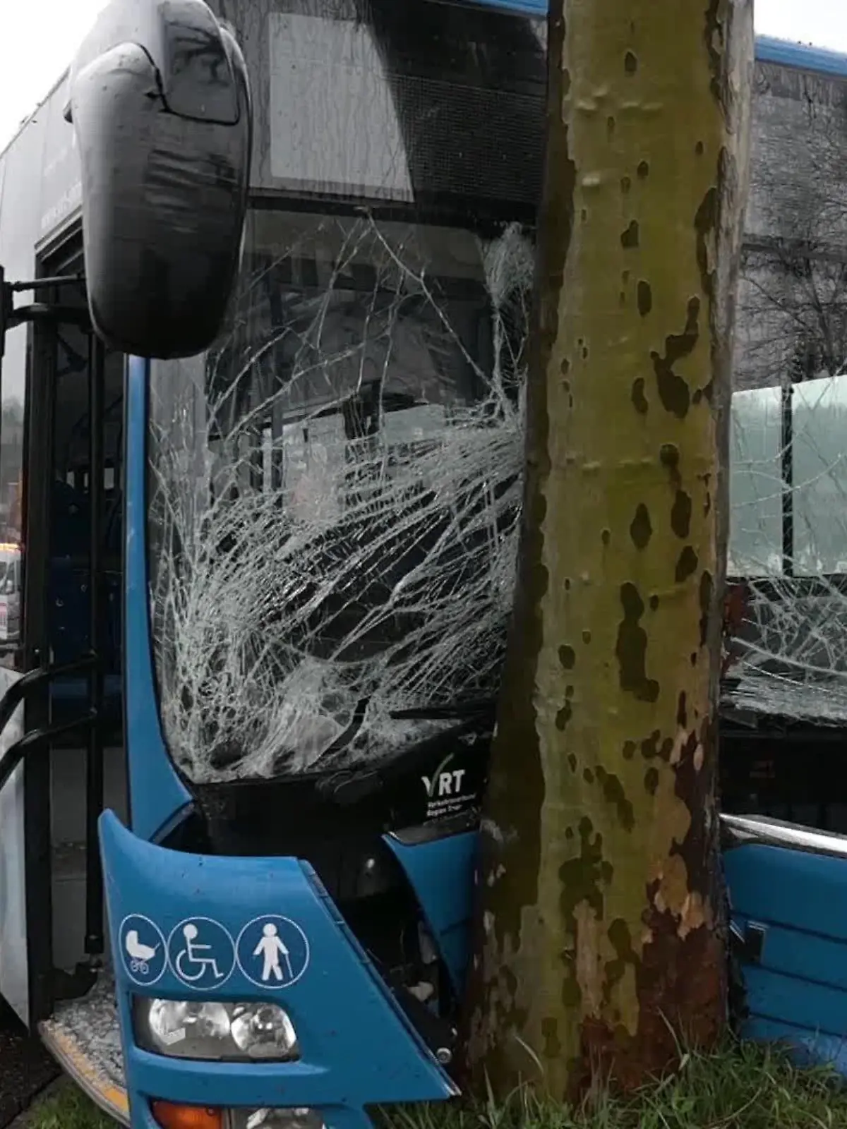 In Trier fährt ein Schulbus frontal gegen einen Baum.