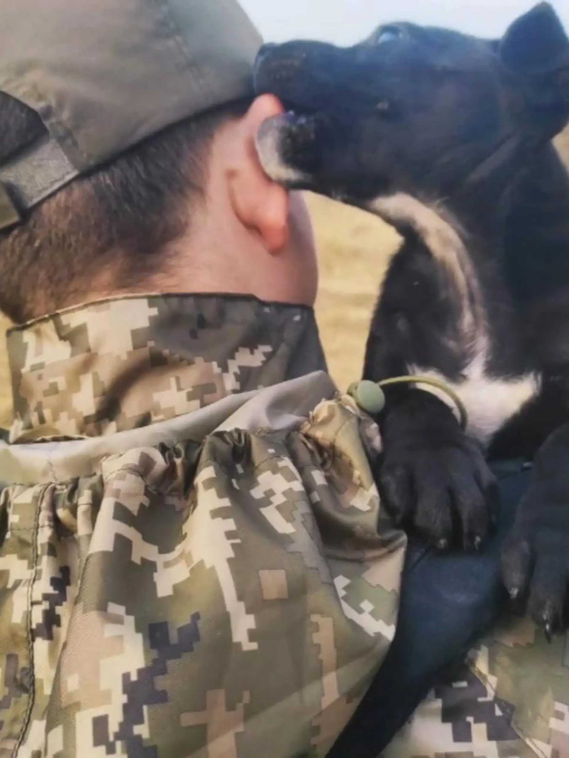 Jessie ist erst einen Monat alt und wurde an der Front geboren. Laut der Soldaten, kann sie schon die Art der Beschüsse unterscheiden und fängt manchmal an zu bellen, wenn Gefahr droht. Im Video stellen wir die süße Hündin vor.