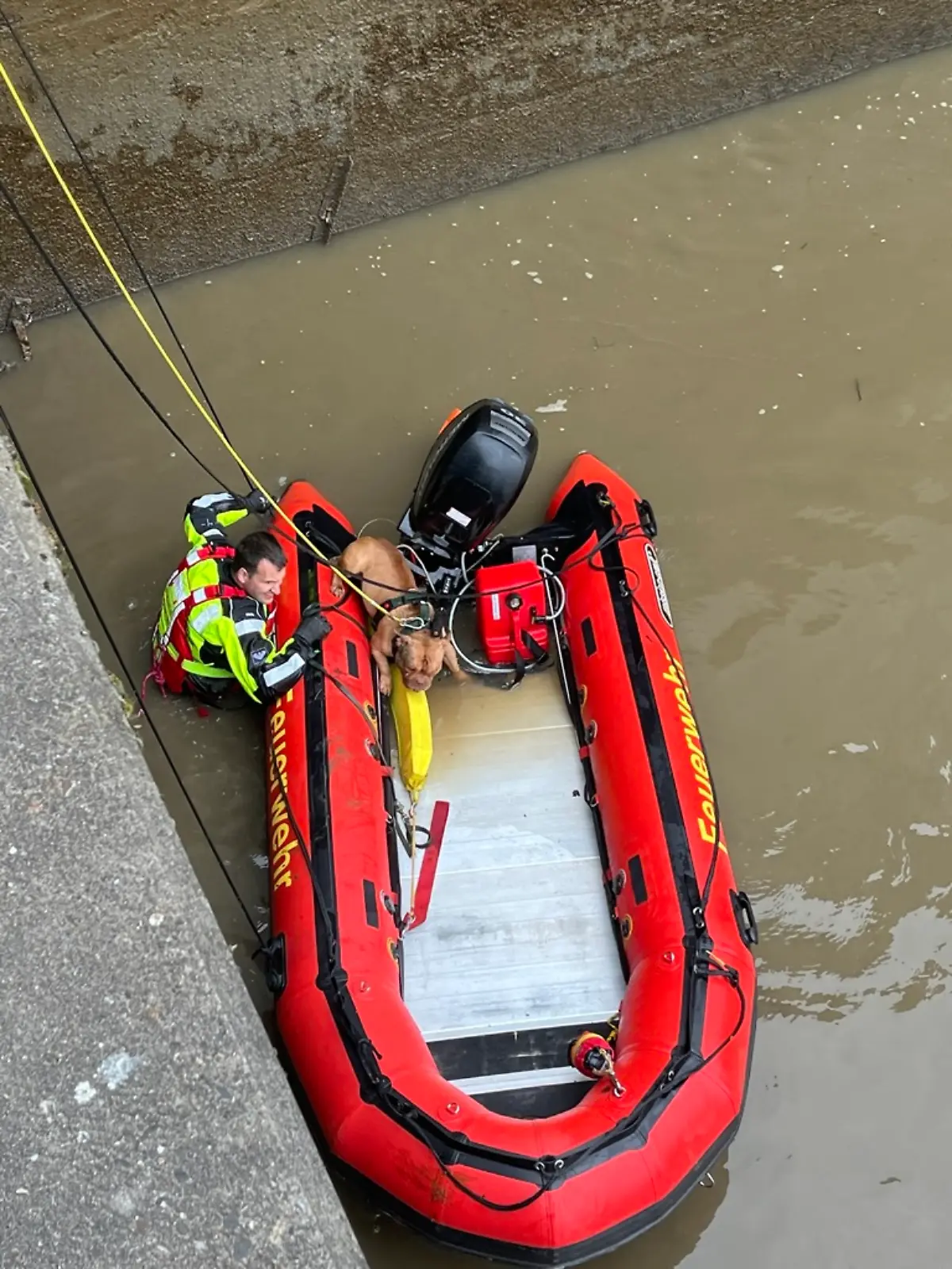 Bild zu: "Hund stürzt bei Gassi-Runde in den Fluss – Feuerwehr muss ihn befreien!"