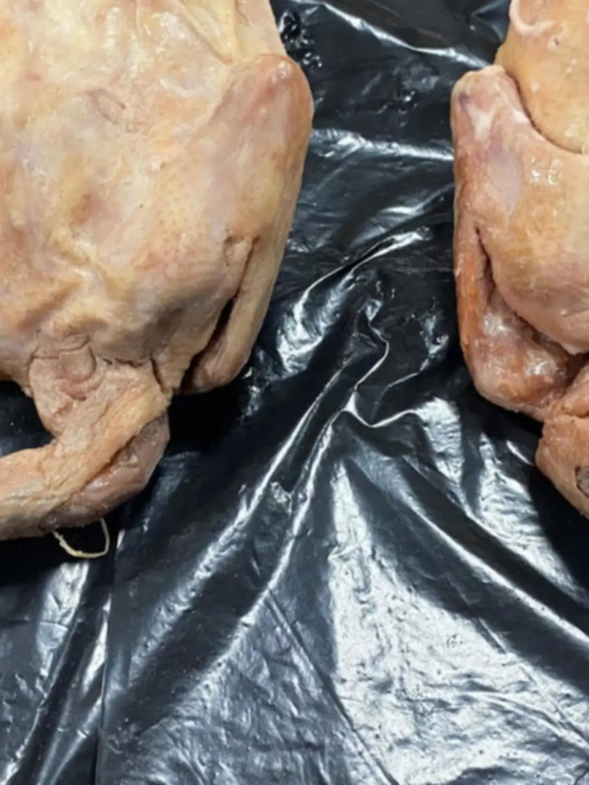 Madrider Restaurant serviert Straßentauben statt Pekingenten. 300 Kilogramm Gammelfleisch werden im Jin Gu gefunden