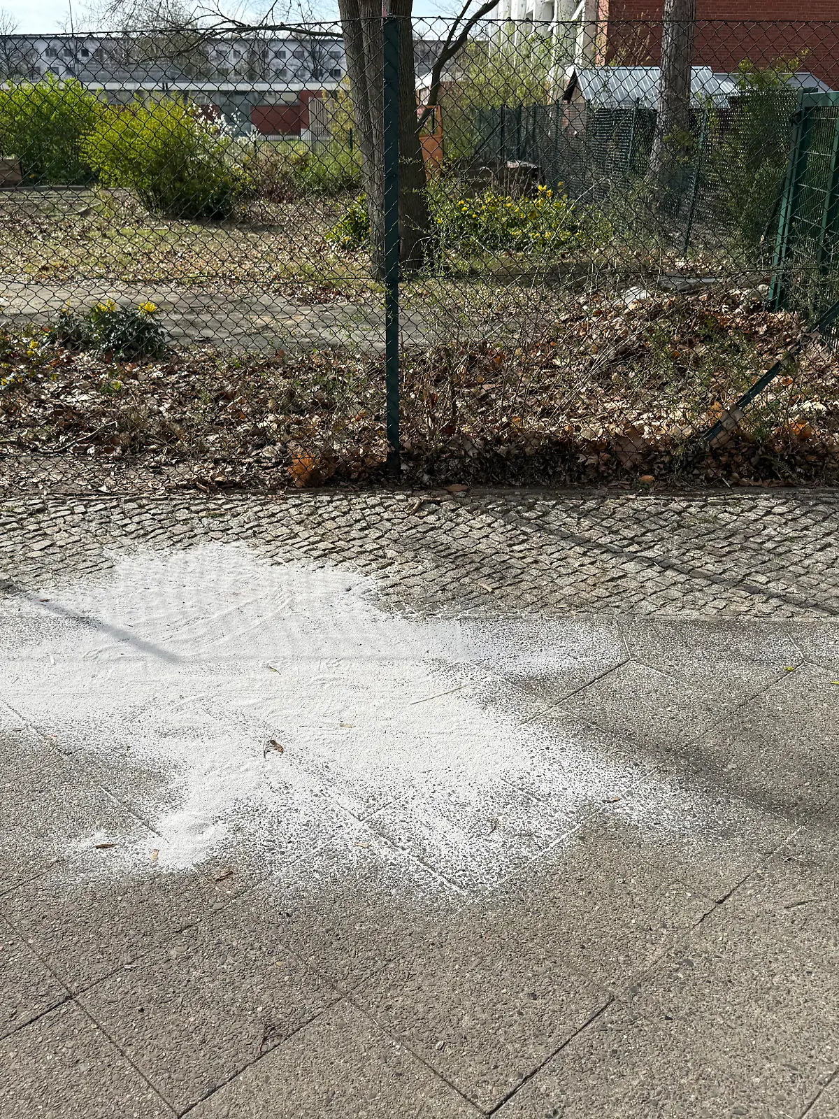Der Tatort in der Walliser Straße in Berlin-Reinickendorf.