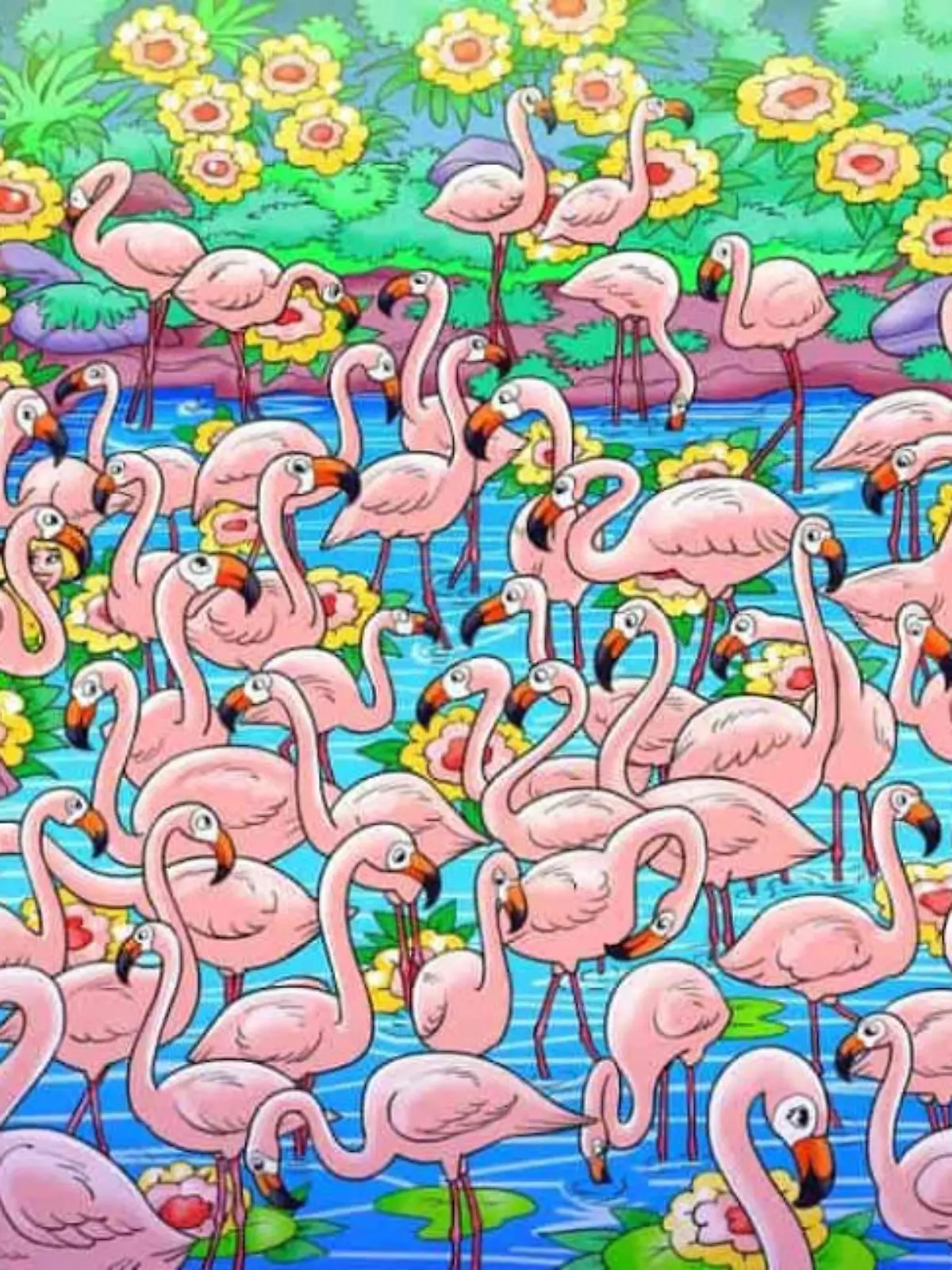 Suchbild Flamingos