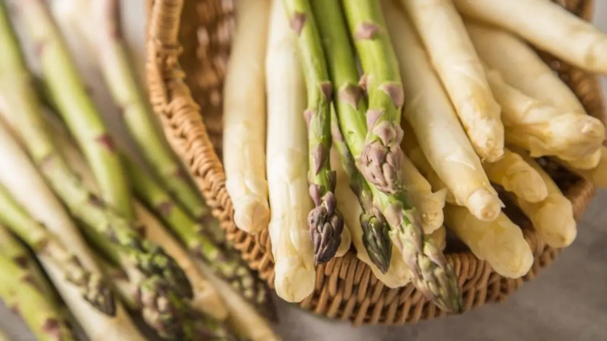 Spargel