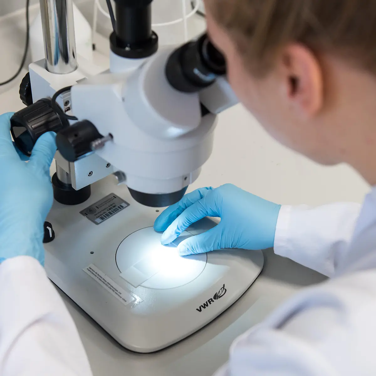 Lumbalpunktion (Liquorpunktion) Logo von Lumbalpunktion (Liquorpunktion)