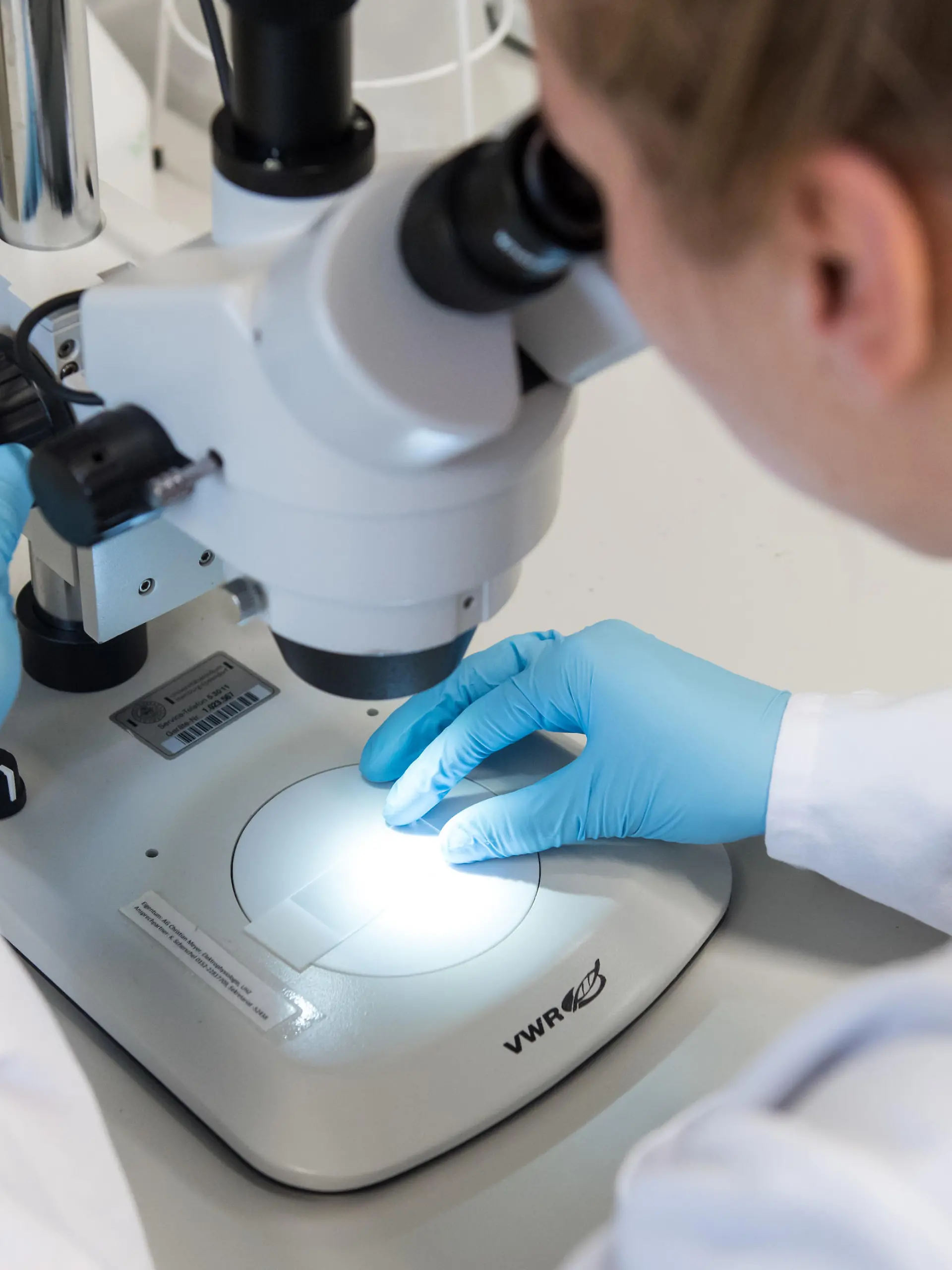25.09.2019, Hamburg: Eine Wissenschaftliche Mitarbeiterin untersucht im Universitätsklinikum Hamburg Eppendorf (UKE) in einem molekularbiologischen Forschungslabor mit einem Mikroskop Bioproben. Wissenschaftler am UKE wollen über eine detaillierte Analyse des Erbguts mehr über die Ursachen von Herz-Kreislauf-Erkrankungen erfahren. Foto: Daniel Bockwoldt/dpa | Verwendung weltweit