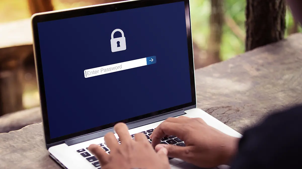 Password protected to login on the computer screen, Privacy Security Protection