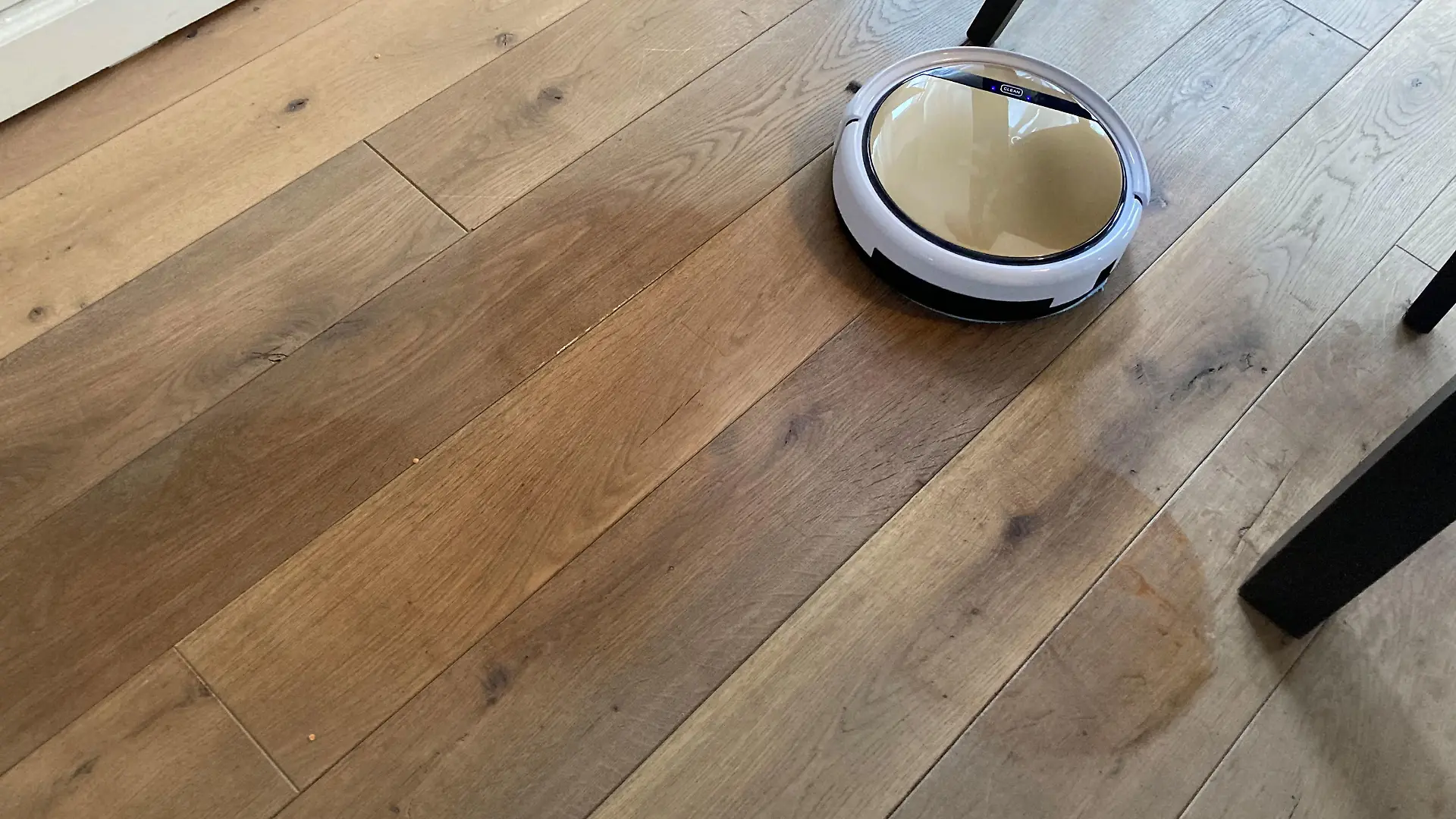 Runde Bewegungen sind typisch für die adaptive Infrarot-Navigation bei Wischrobotern