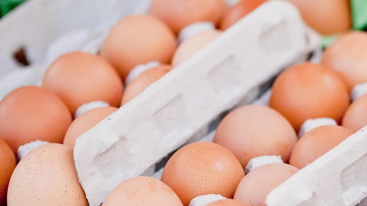 frische braune hühner eier im karton auf dem markt im sommer
Freshness brown Chickens Eggs in Carton on the Market in Summer