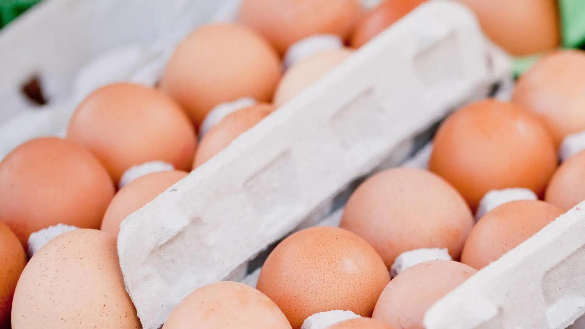 frische braune hühner eier im karton auf dem markt im sommer
Freshness brown Chickens Eggs in Carton on the Market in Summer