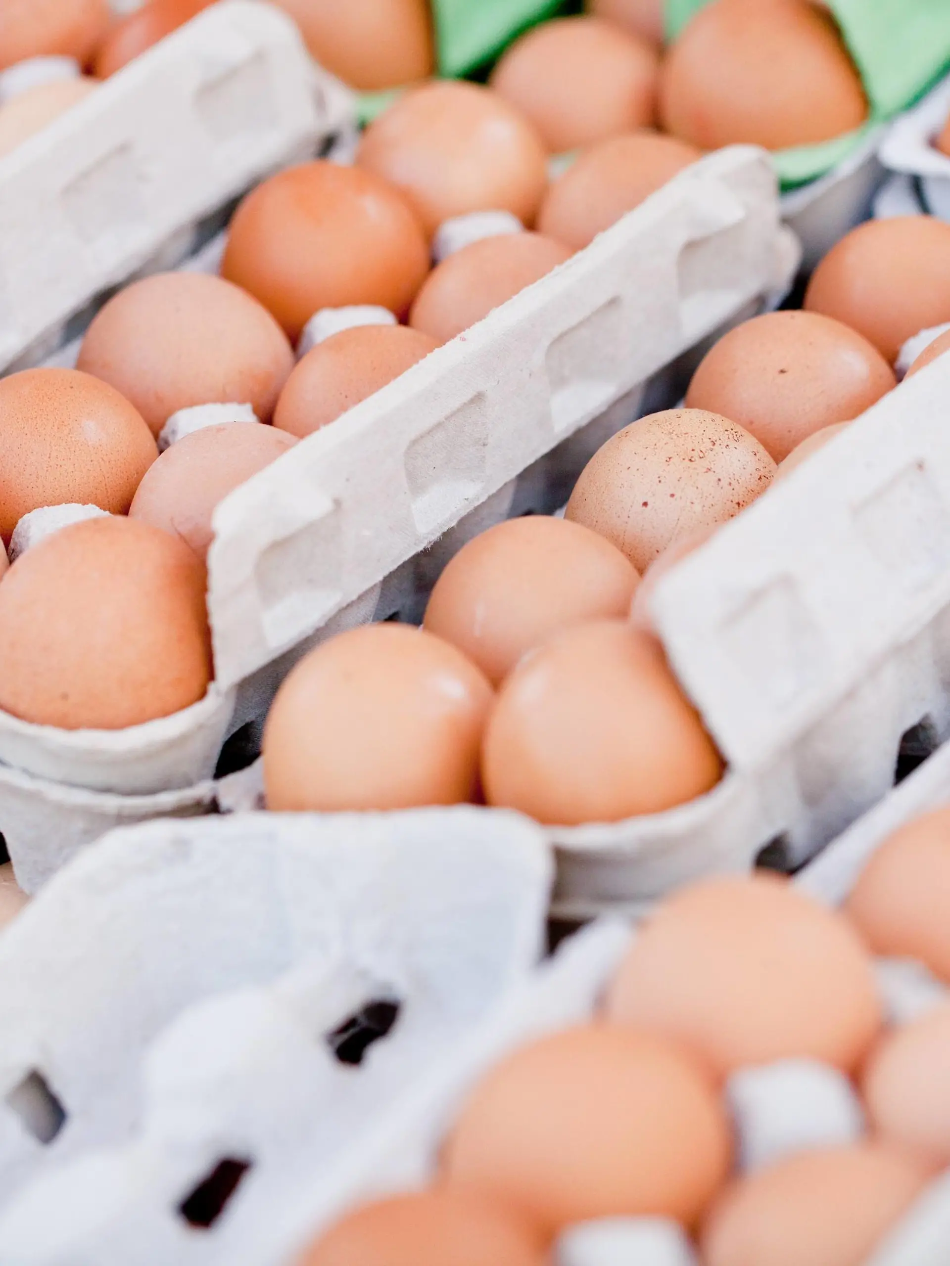 frische braune hühner eier im karton auf dem markt im sommer

Freshness brown Chickens Eggs in Carton on the Market in Summer  