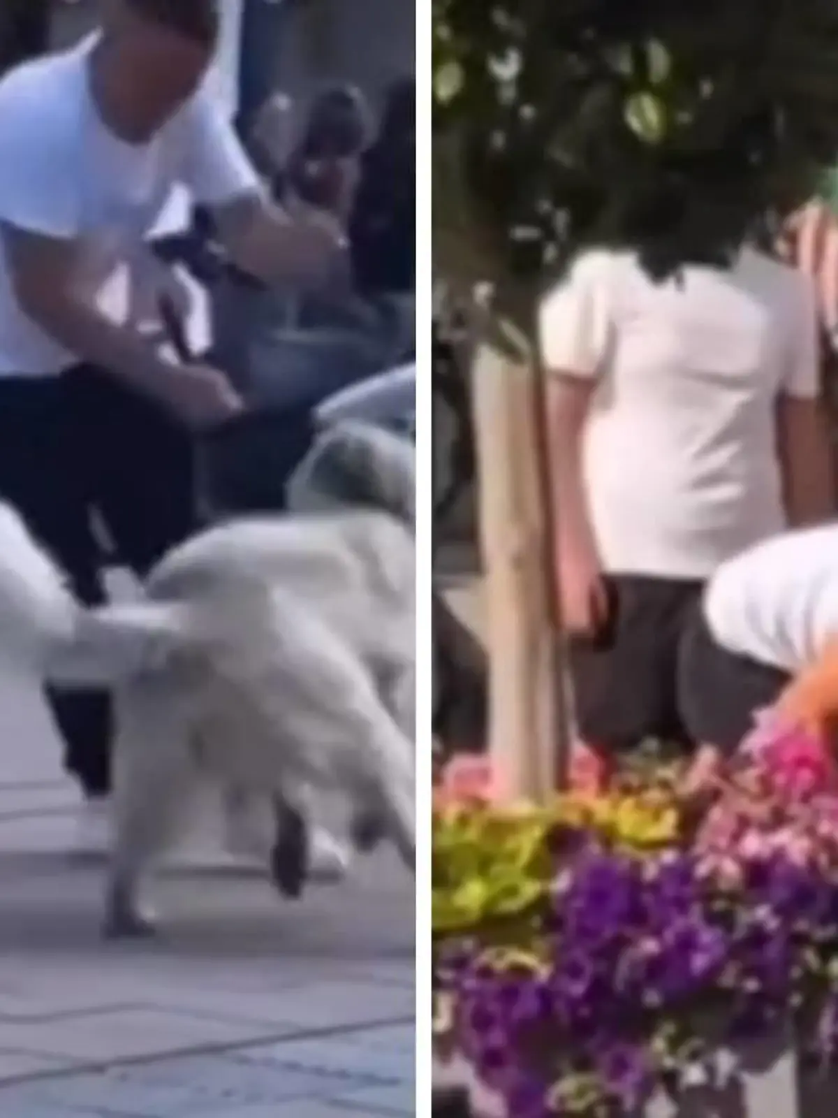 Die Taten der Männer wurden auf Video festgehalten.