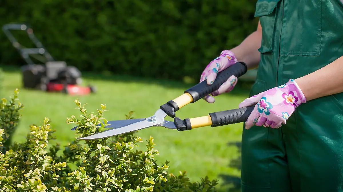 Young woman working in the garden.