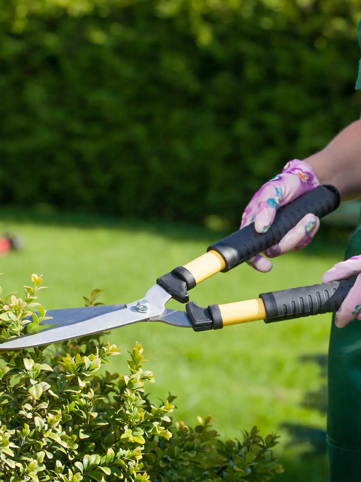Young woman working in the garden.