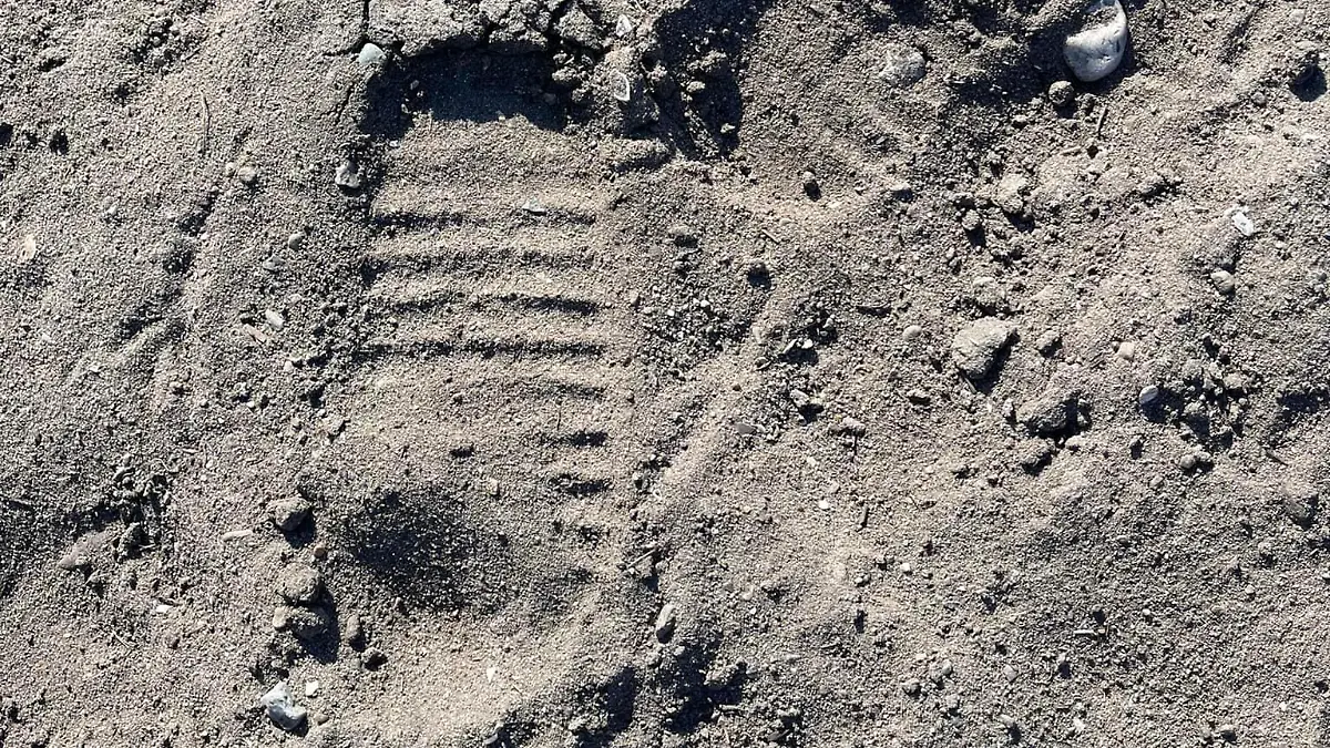 Stute in Grömitz sexuell missbraucht.