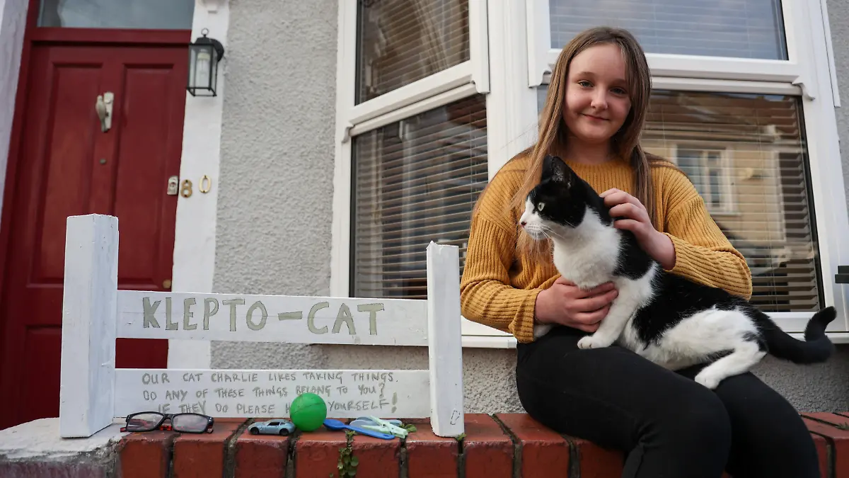 SONDERKONDITIONEN: Satzpreis!
Martha, 11, with Charlie. From dinosaurs to ducks - meet Britain's most prolific cat burglar. This cheeky feline has been roaming the streets of Bristol. It was the moment Alice Bigge, 41, woke up one morning to find herself staring face to face with a diplodocus on her pillow, that she realised she was living with a prolific cat thief. Bristol. See SWNS story SWBRcat. Meet Britain's most prolific cat burglar - a cheeky feline that brings home stolen items including toys, cutlery, glasses - and skateboards. Charlie - dubbed 'Klepto Cat' - pinches a random array of swag such as rubber ducks - and plastic dinosaurs. Owner Alice Bigge, 41, spends her time trying to reunite her one-year-old pet's victims with his stolen loot. She has even set up a shelf on her outside wall where she leaves the bizarre items he brings home.   / action press