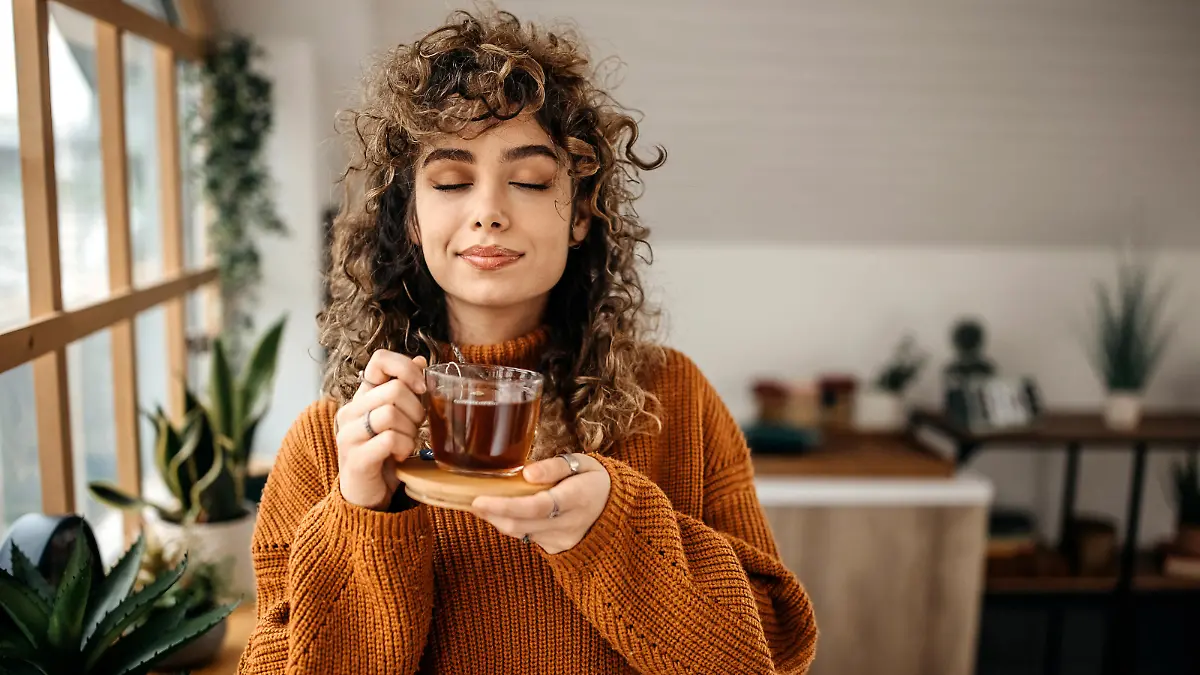 Young beautiful woman having a tea in her apartment