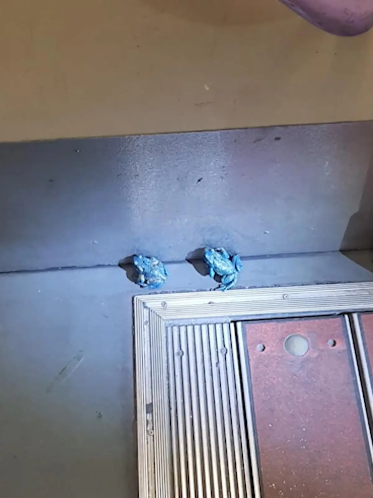 Bild zu: "Blaue Frösche in Straßenbahn"