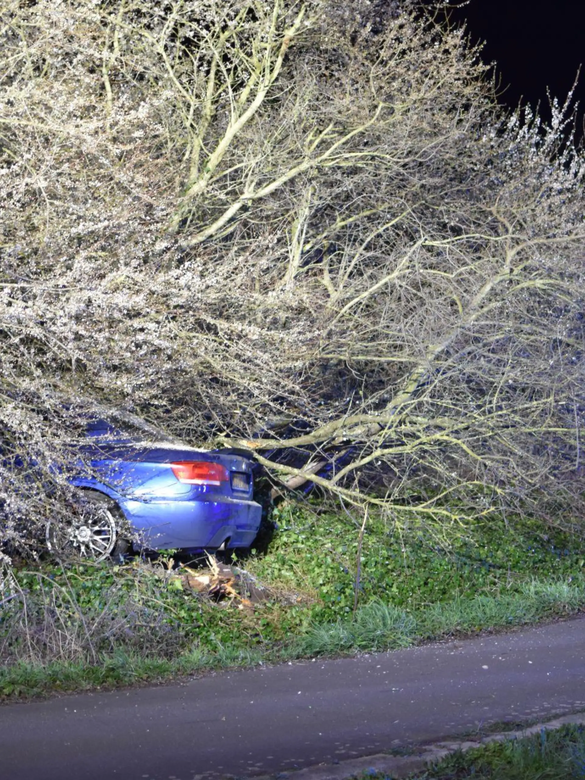 In diesem Gebüsch hat der Fahrer sich aus dem Fenster der Fahrerseite befreit, um zu fliehen. / Foto: 5vision