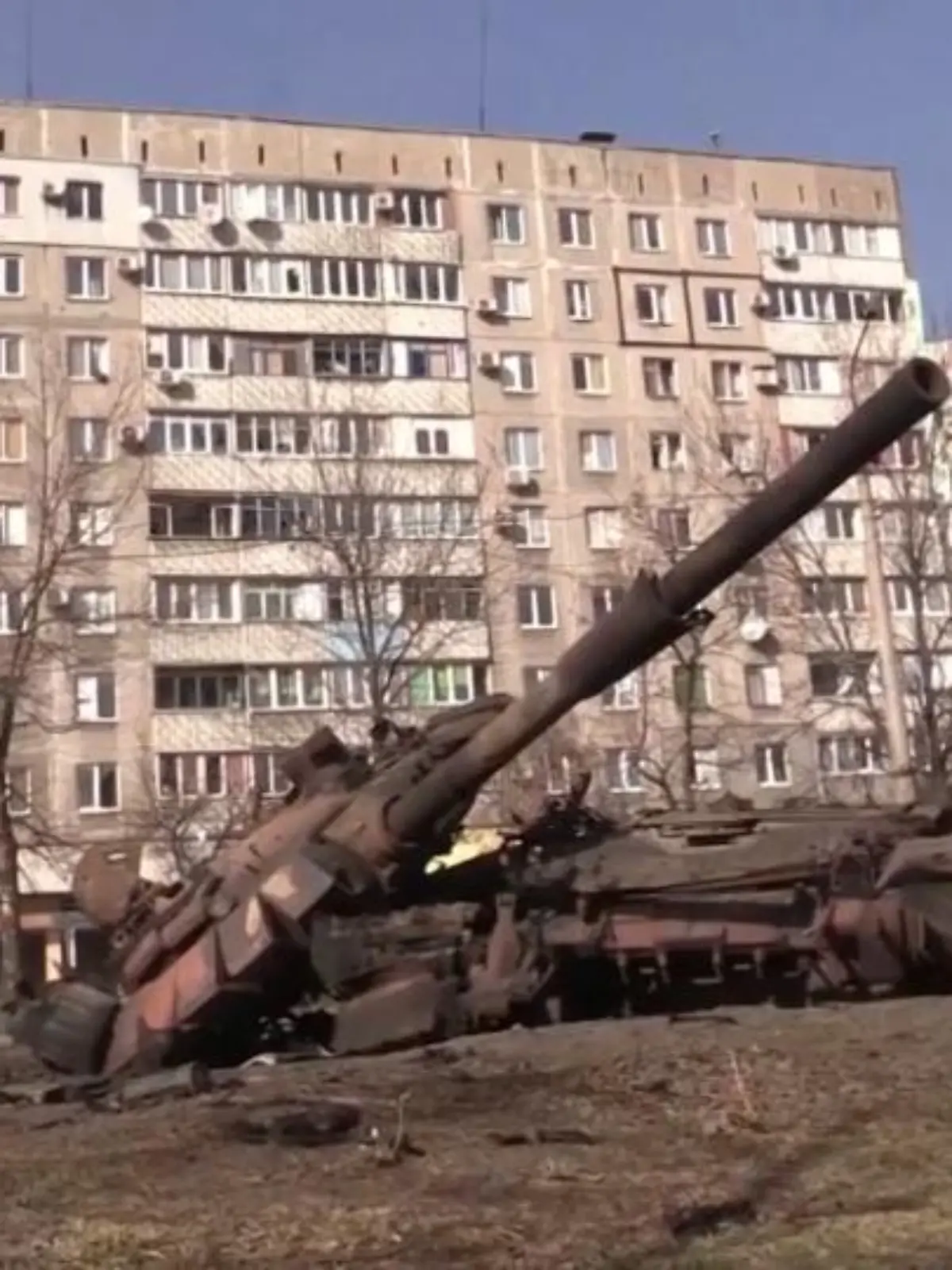 Bild zu: "Vier Wochen Krieg in der Ukraine"