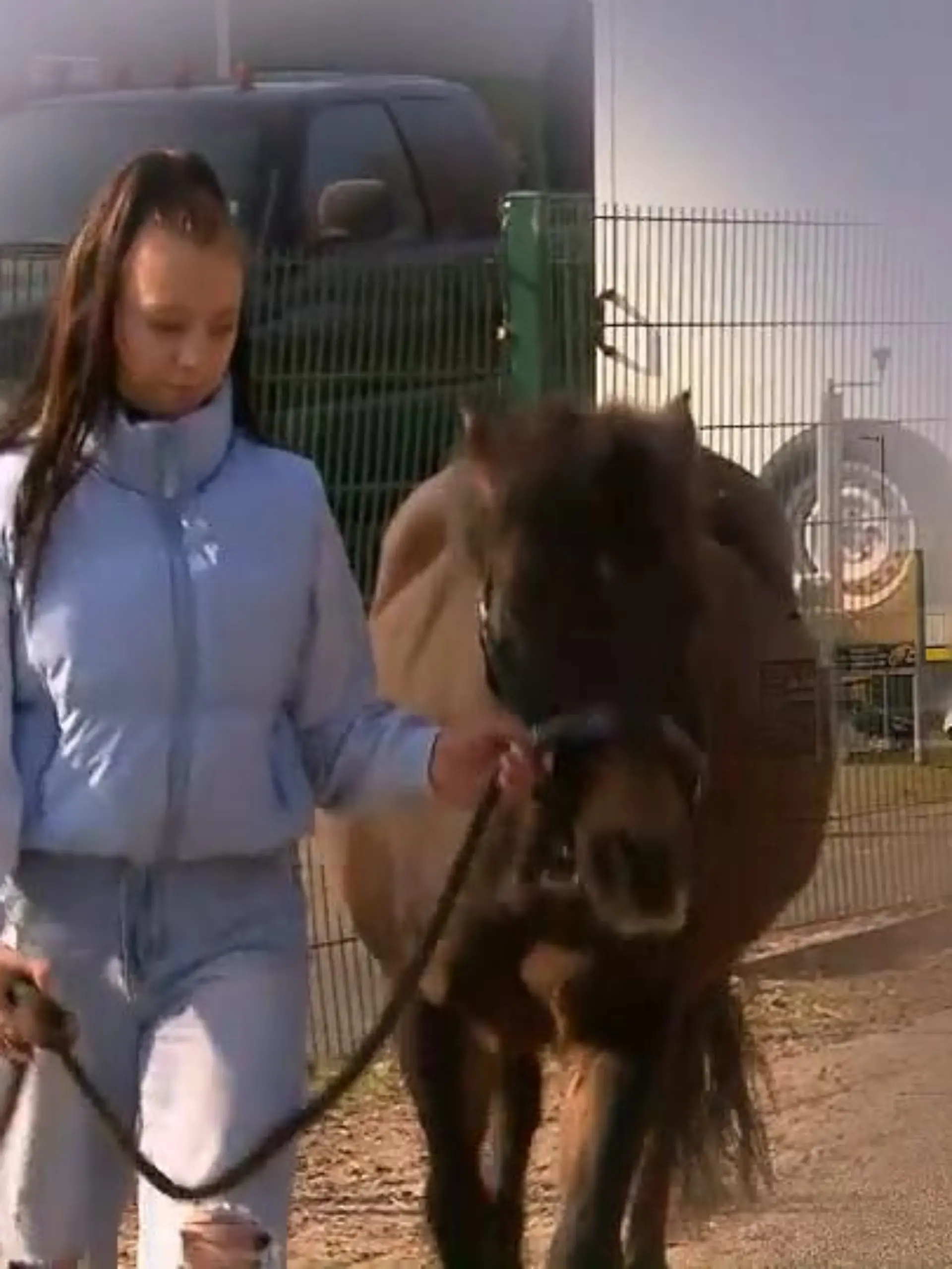 Bild zu: "Mädchen geht mit Pony in Supermarkt"
