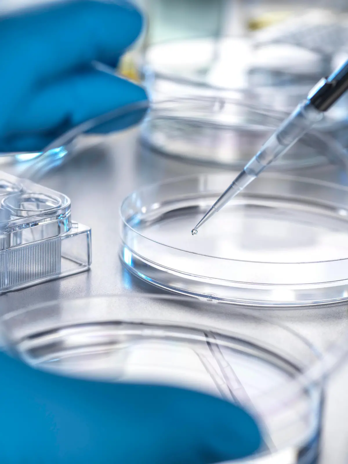 Hand of scientist transferring solution from pipette to petri dish in laboratory model released, Symbolfoto property released, ABRF00971