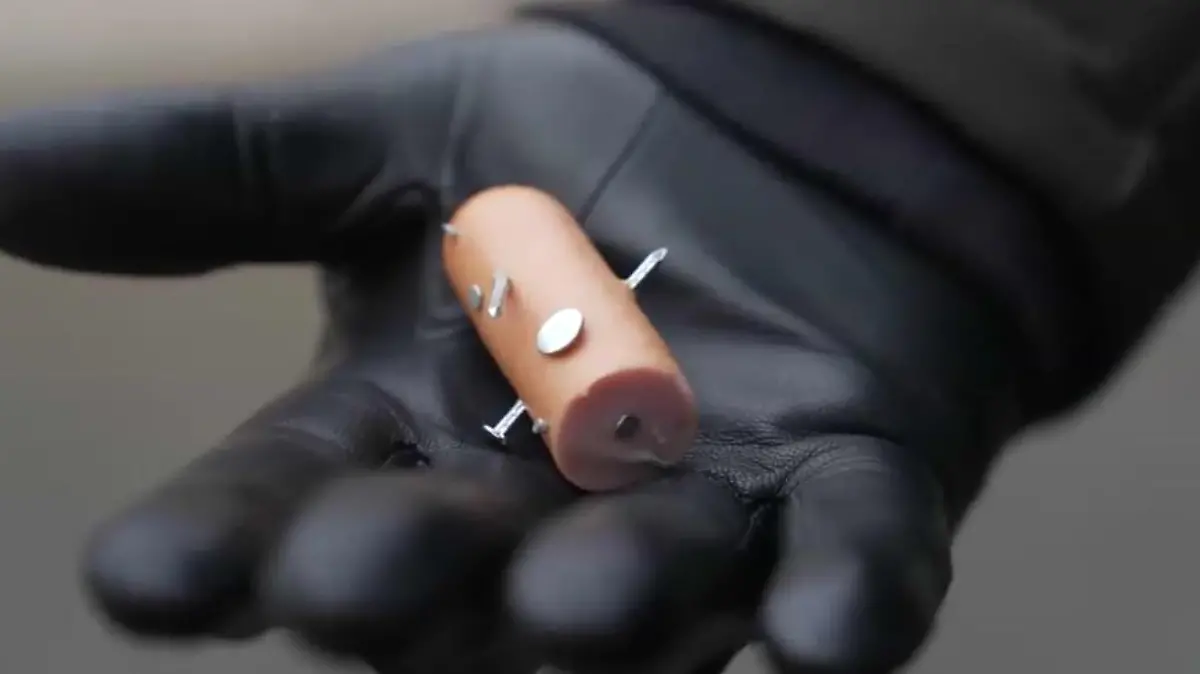 Bild einer Wurst, in der Nägel stecken, um damit Tiere zu vergiften.