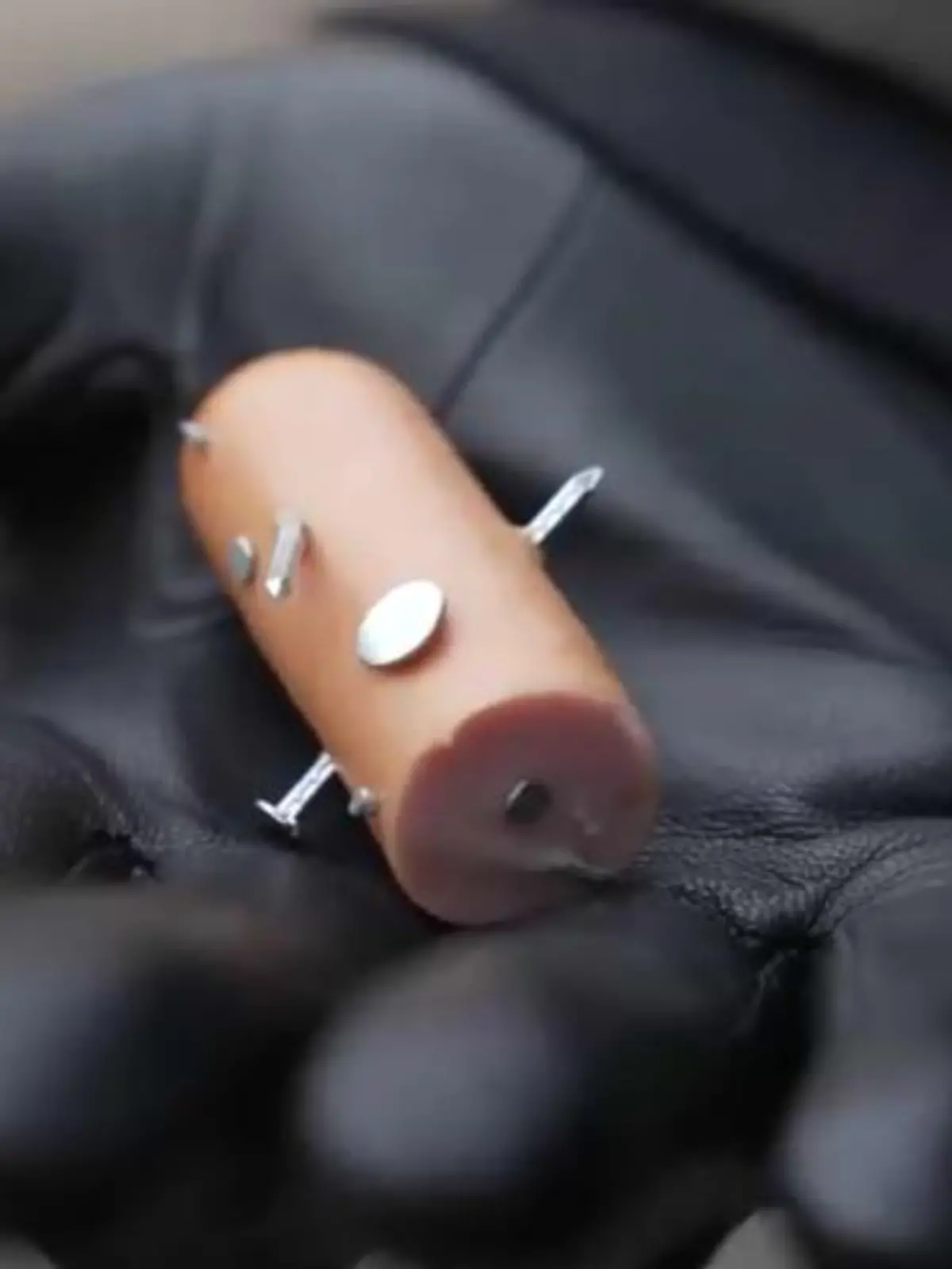Bild einer Wurst, in der Nägel stecken, um damit Tiere zu vergiften.