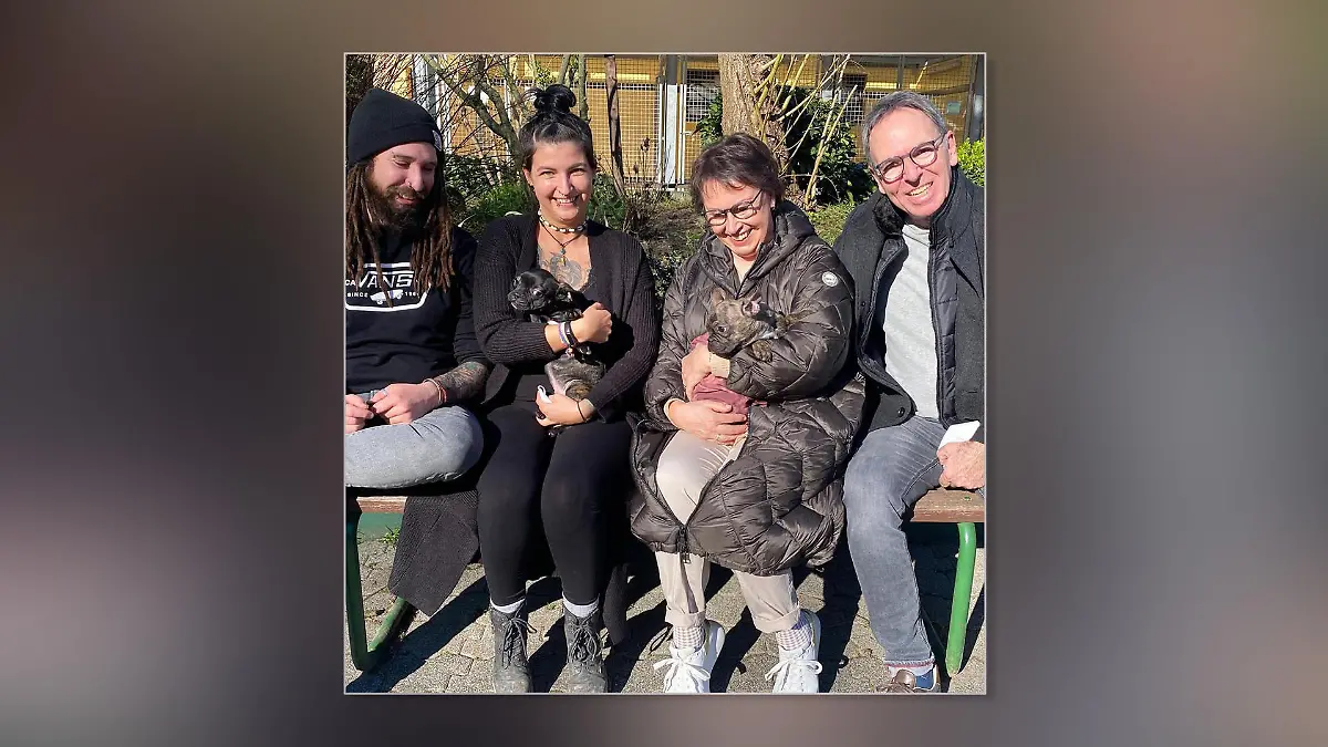 Französische Bulldoggen-Welpen im Arm ihrer neuen Besitzer.