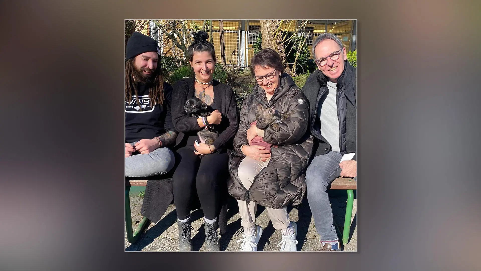 Französische Bulldoggen-Welpen im Arm ihrer neuen Besitzer.
