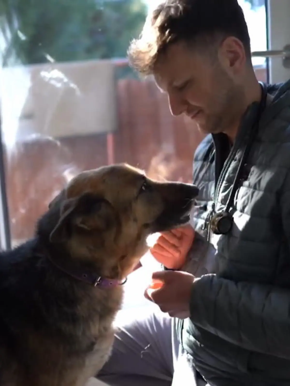 Sein Herz für Tiere muss riesig sein: Der 32-Jährige Jakub reist freiwillig von Polen in das Kriegsgebiet Ukraine, um kranken Vierbeinern zu helfen. Egal ob Hund, Katze oder kleinea Zicklein: Tierarzt Jakub ist bereit sein Leben für sie zu riskieren. In den vergangenen Wochen hat er in drei Konvois rund 200 Katzen und 60 Hunde aus dem ukrainischen Lwiw ins sichere Polen gebracht. Die Tiere sind teilweise bei Angriffen verletzt worden oder davon traumatisiert. Die Vierbeiner werden nun in Tierkliniken oder bei Tierärzten wieder aufgepäppelt. Und Jakub hofft, dass viele von ihnen bald ein sicheres Zuhause finden werden. Hut ab, vor so viel Mut und Tierliebe!