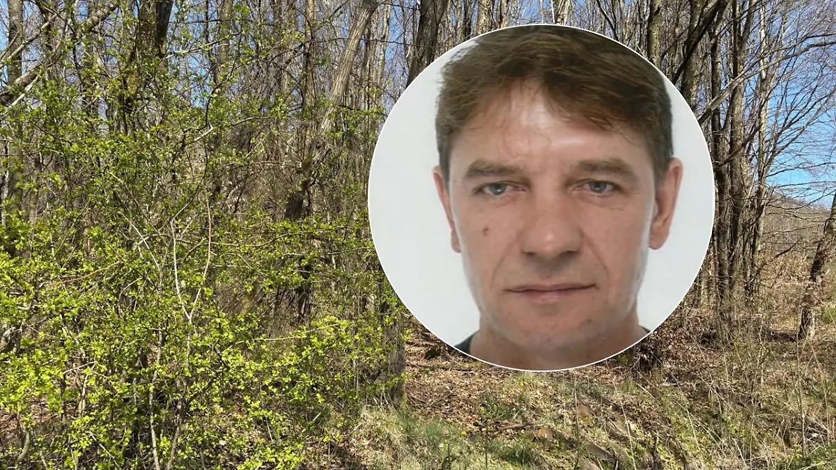 Versteckt sich Westerwald-Killer Alexander Meisner irgendwo in diesem Wald?