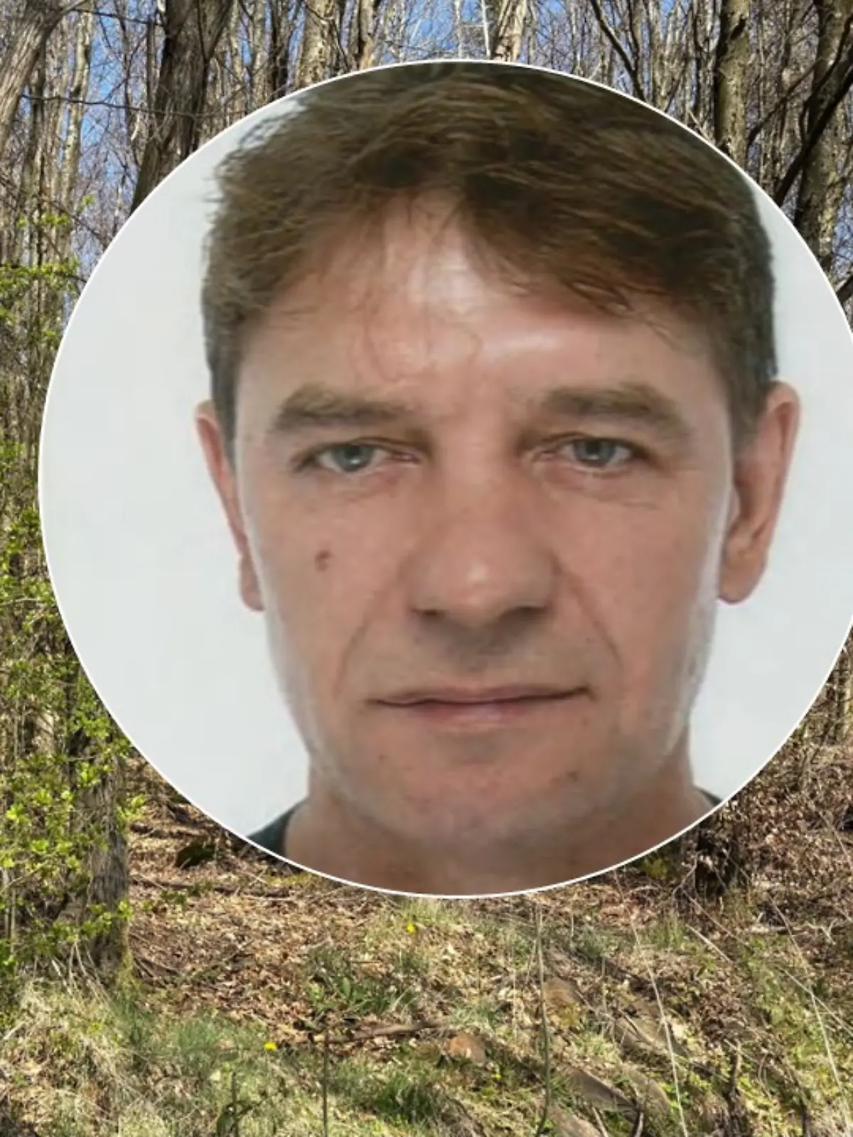 Versteckt sich Westerwald-Killer Alexander Meisner irgendwo in diesem Wald?