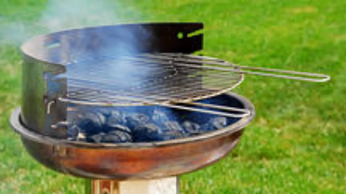 grill kohle 216 136
