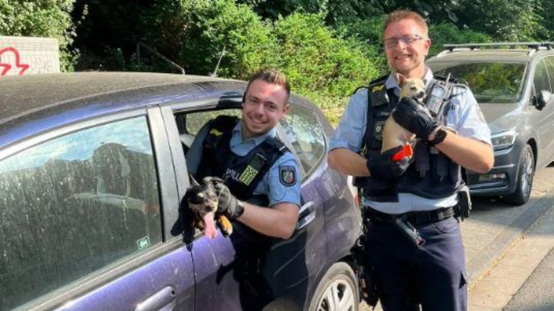 Mit einem Nothammer konnten die Vierbeiner aus dem überhitzen Auto gerettet werden,