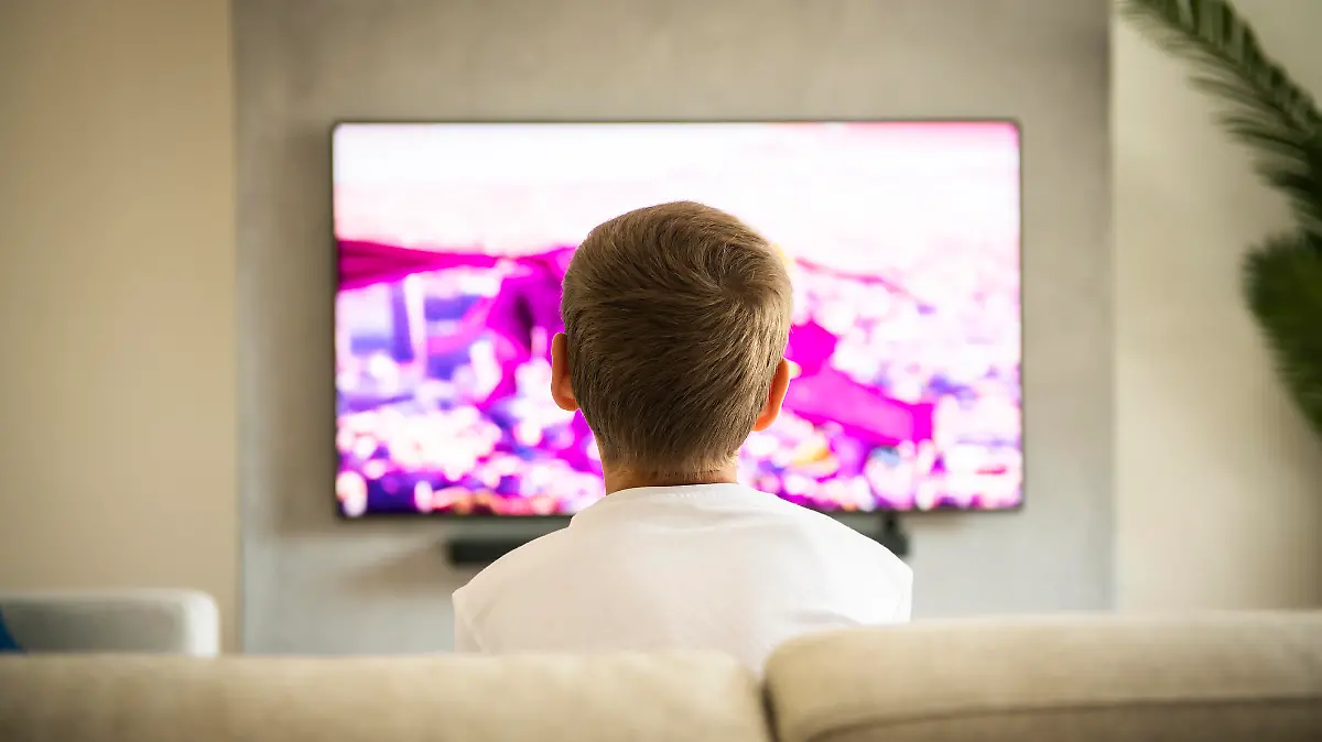 The Back view image of cute boy sitting on sofa and watching TV.
