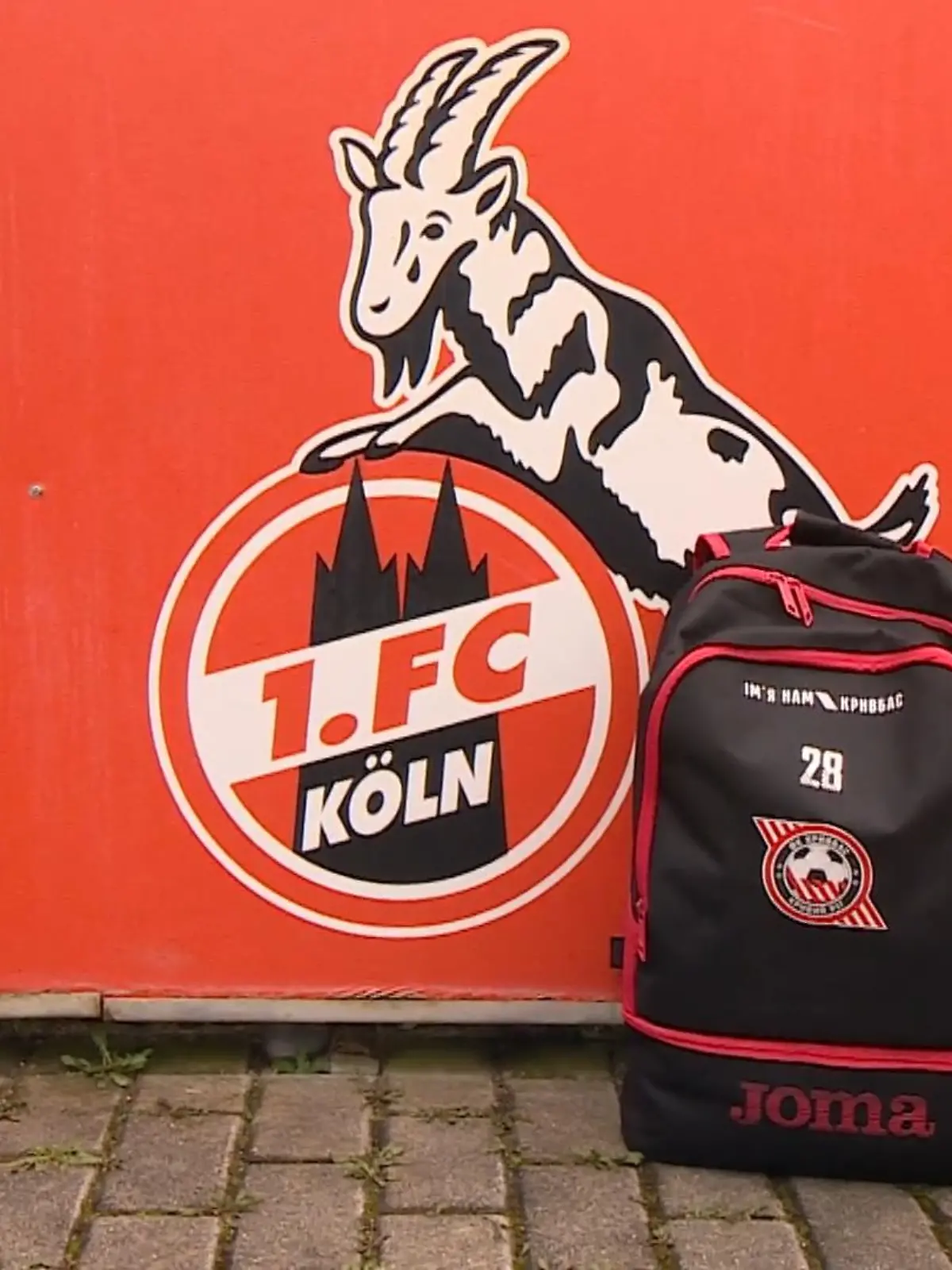 Bild zu: "1.FC Köln hilft"