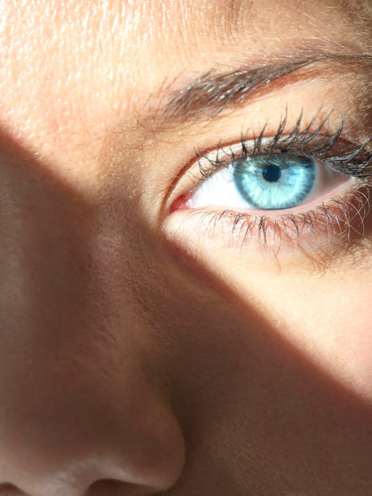 auge sonne.jpg
