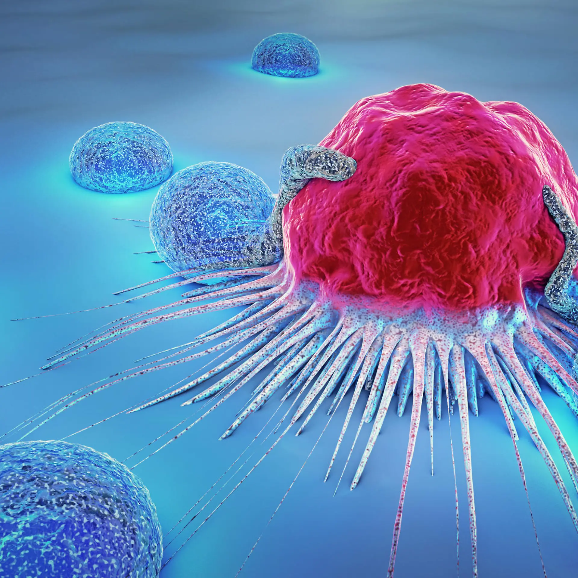 Lymphozyten Logo von Lymphozyten