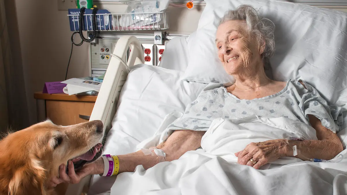 Symbolbild: Frau im Krankenhaus mit Therapiehund