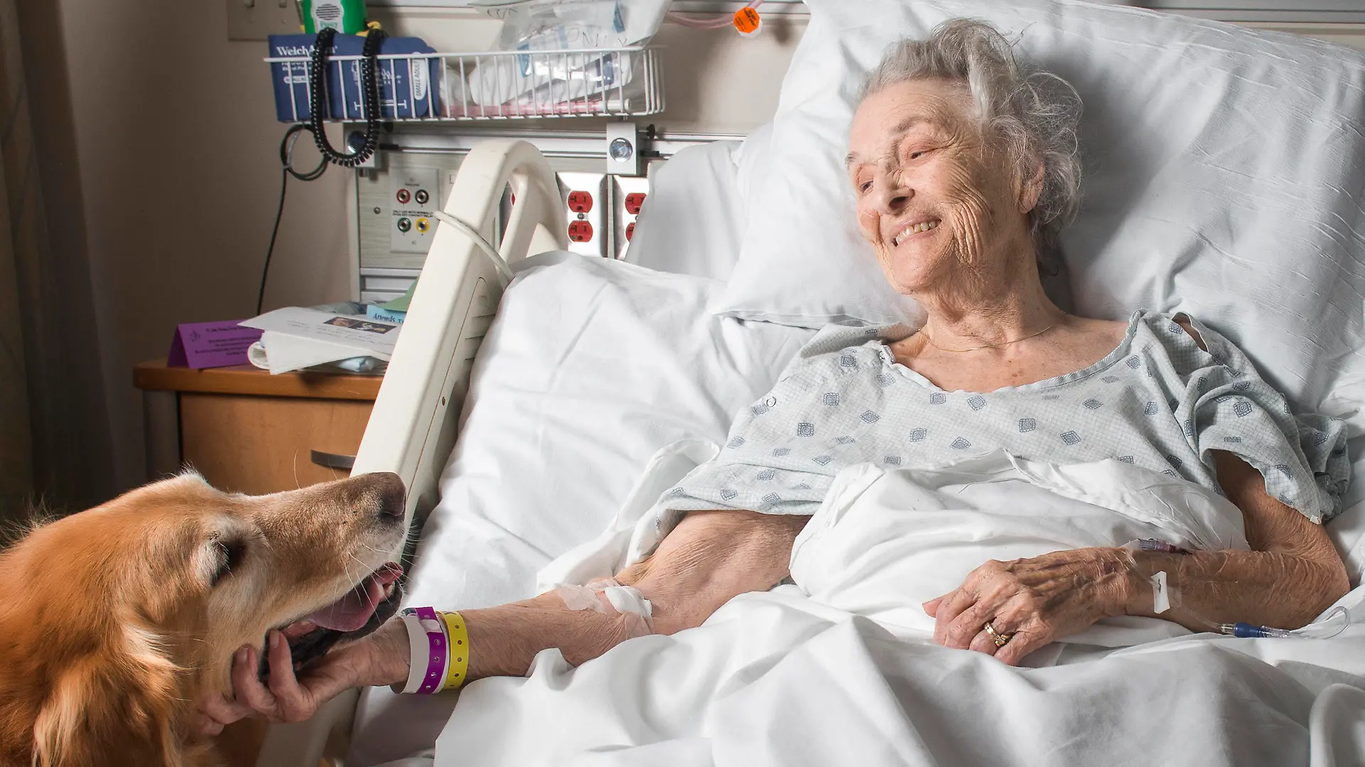 Symbolbild: Frau im Krankenhaus mit Therapiehund