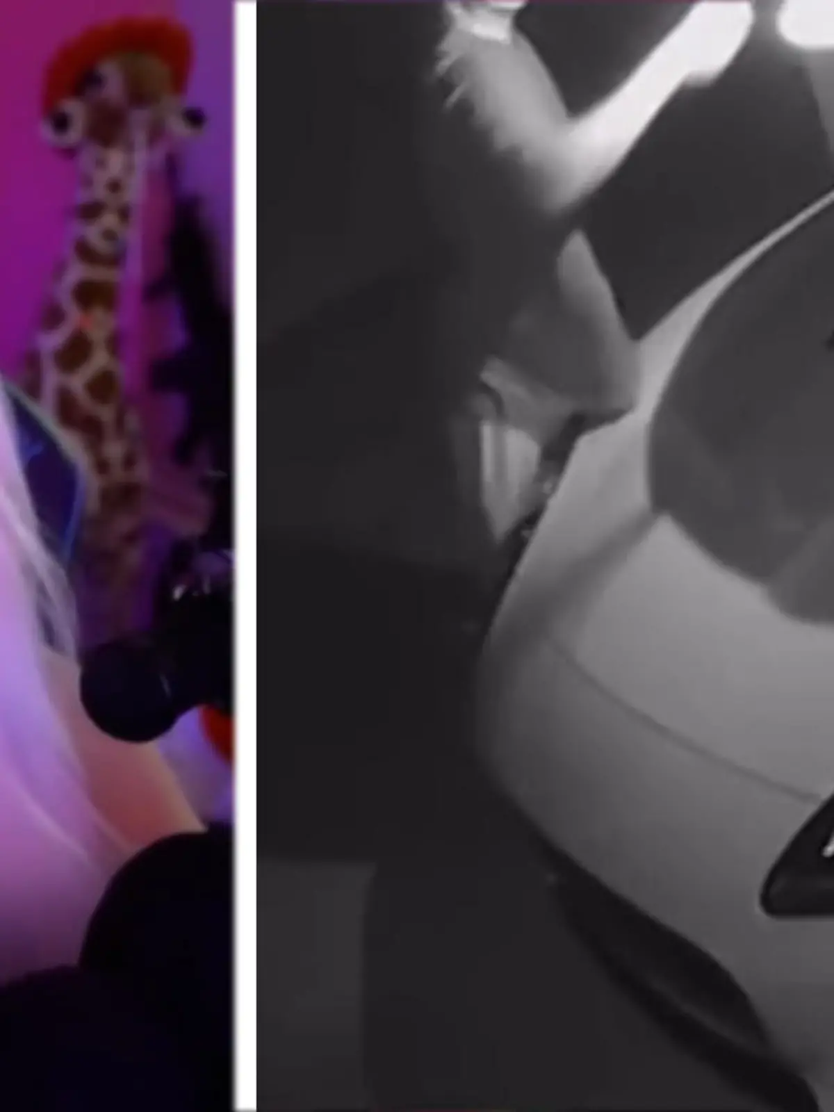 Split-Image: Die Streamerin Kylee Carter und ihr Auto, dass von einem Fan angezündet wird.