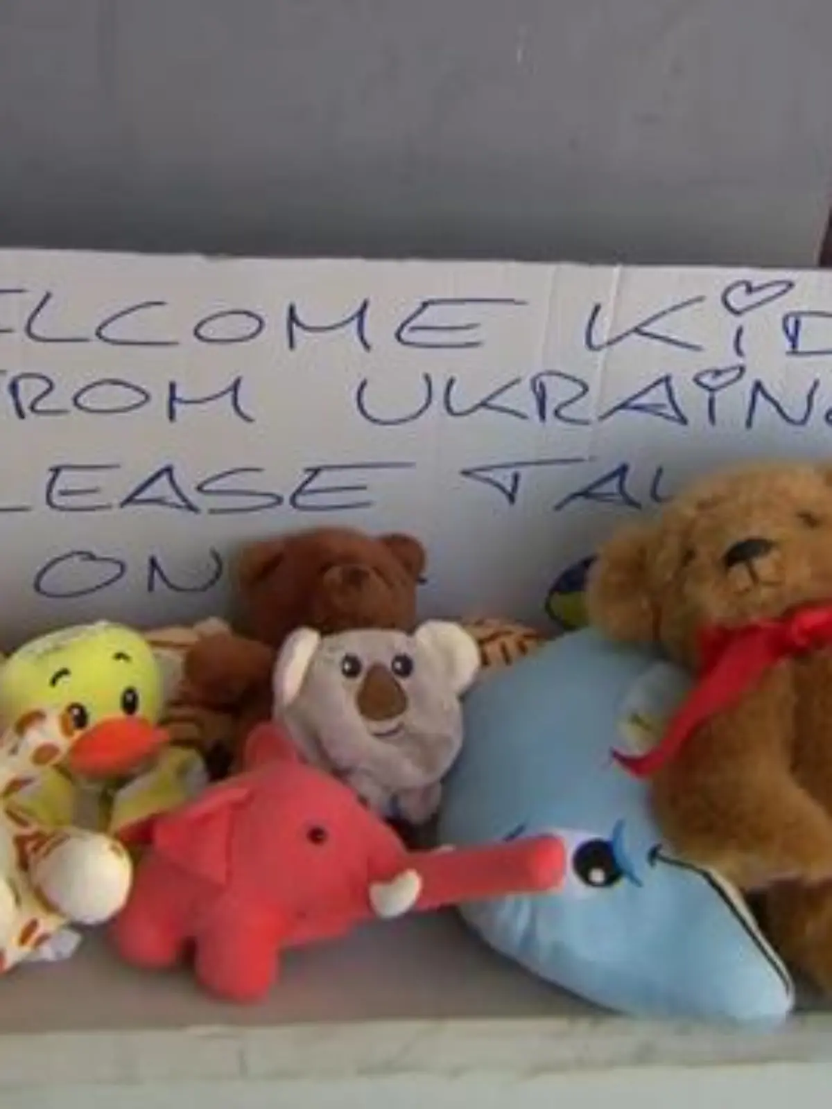 Bild zu: "Ukrainische Kinder in NRW-Schulen"