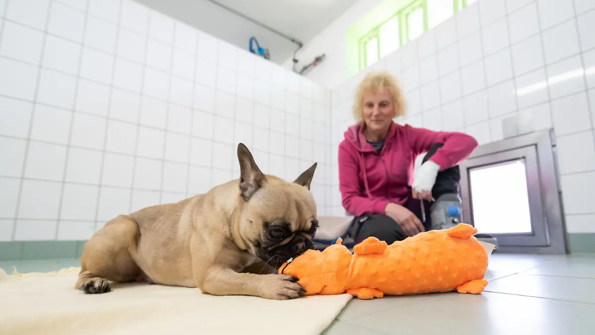 PRODUKTION - 02.03.2022, Niedersachsen, Neu Wulmstorf: Doris Firlus, Betreiberin des Tierzentrums Neu Wulmstorf, kniet in einem Zwinger neben ihrem Hund Erna. Wo früher Affen und Hunde Höllenqualen leiden mussten, bekommen Vierbeiner nun ein neues Zuhause. Aus dem geschlossenen Versuchslabor in Mienenbüttel wird ein Heim für vernachlässigte Tiere. (zu dpa Tierheim statt Versuchslabor - Tierschützer arbeiten ehrenamtlich mit) Foto: Philipp Schulze/dpa +++ dpa-Bildfunk +++