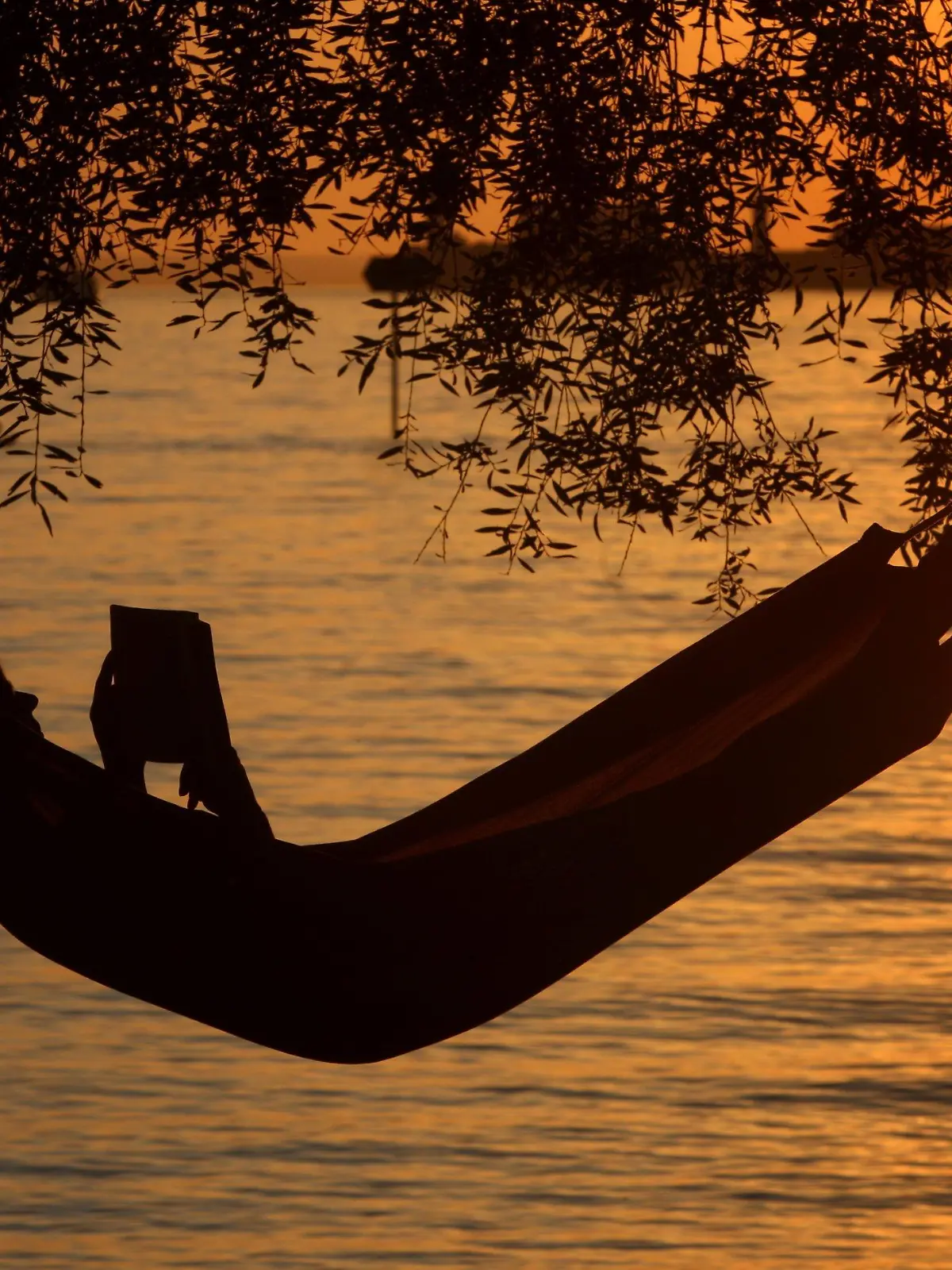 Eine Frau liest am Samstag (20.08.2011) in einer Hängematte am Badestrand eines Campingplatzes in Lindau (Schwaben) ein Buch. Ideales Strand- und Badewetter herrscht derzeit am Bodensee. Die Temperaturen steigen bis auf 32 Grad. Foto: Karl-Josef Hildenbrand dpa/lby/lsw  +++(c) dpa - Bildfunk+++