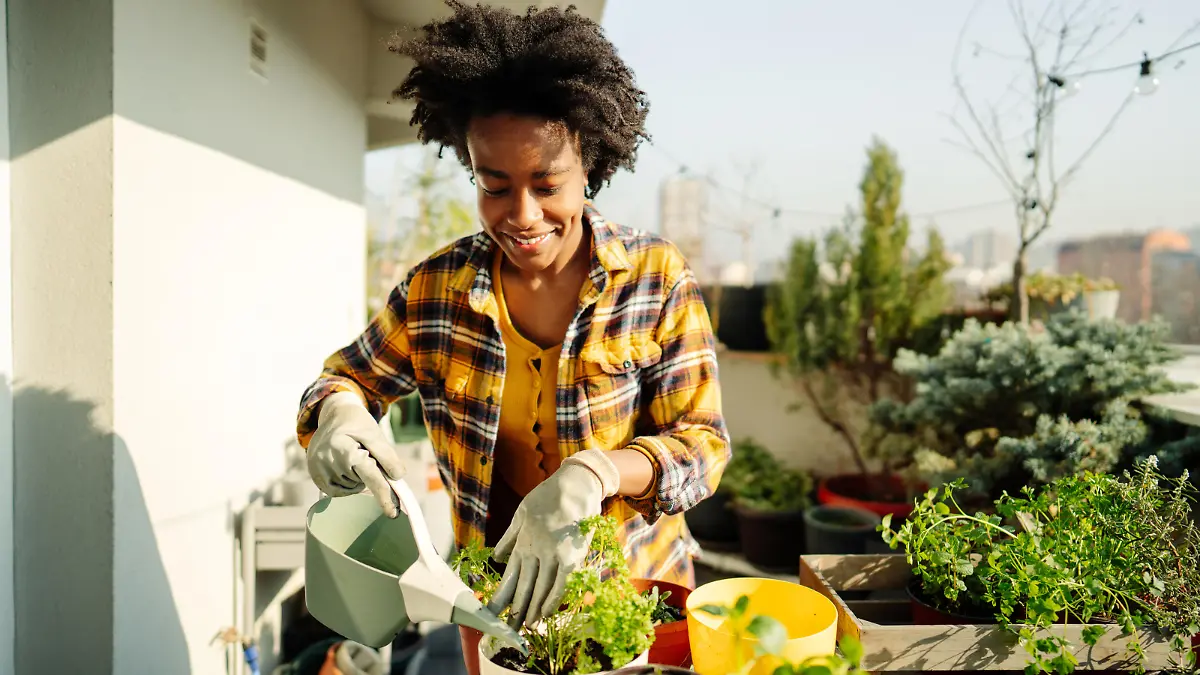 Photo of a young woman taking care of her rooftop garden, watering and transplanting different kinds of seedlings, on a bright, spring morning.