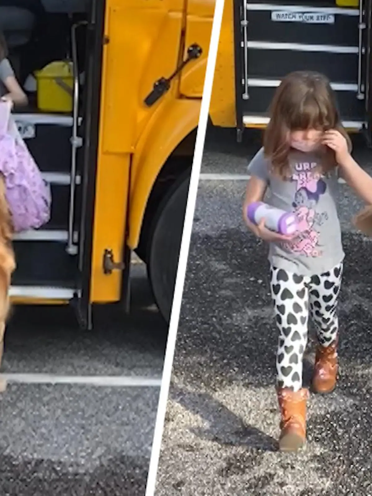 Golden Retriever Kody wartet geduldig auf die kleine Autumn – um ihr den Rucksack abzunehmen! Ist aber auch echt schwer so ein Ding, dann auch noch der lange Schultag – da kommt so ein Ranzen-Service doch ziemlich gelegen. Die beiden zeigen, wie wundervoll und einmalig eine Freundschaft zwischen Hund und Kind sein kann – und das jeden Tag aufs Neue, wenn der Schulbus vorfährt.