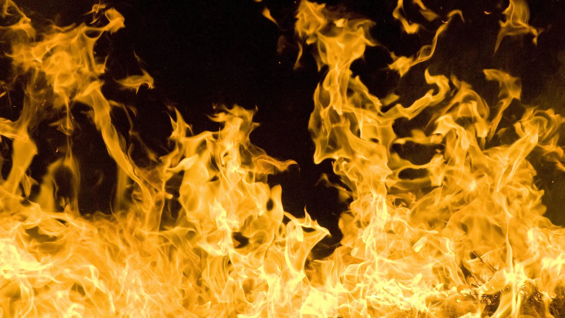 Feuer beim Biikebrennen in Bielefeld