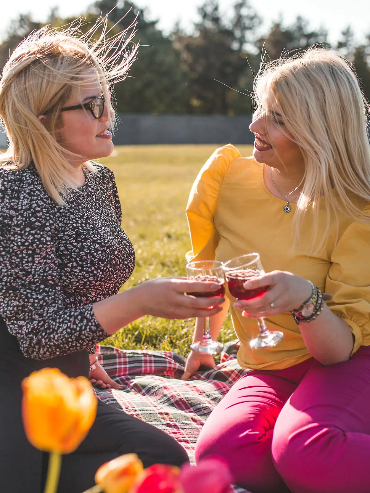 Two young, beautiful women sitting on the picnic blanket in the park drinking wine