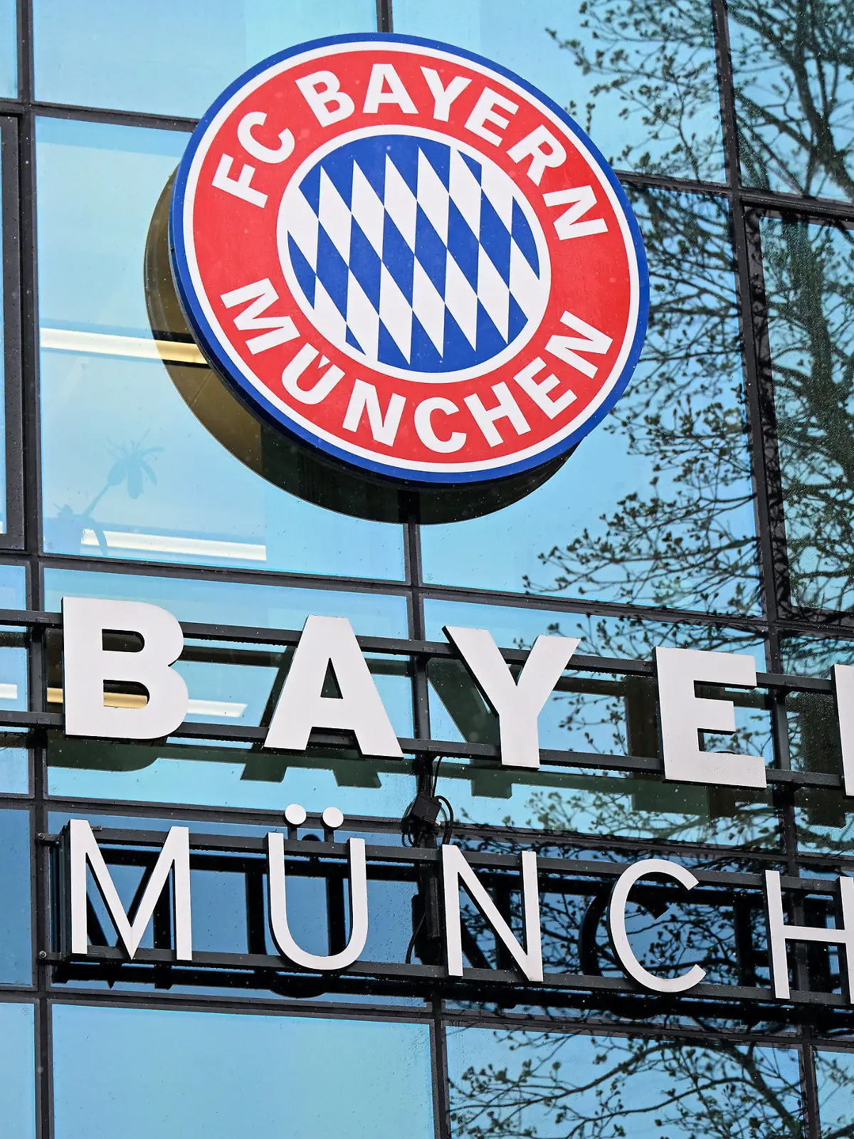 ARCHIV - 27.03.2023, Bayern, München: Das Logo vom FC Bayern München ist am Vereinsgelände an der Säbener Straße zu sehen. Der FC Bayern München muss wegen jahrelang nicht gezahlter Sozialleistungen einen sechsstelligen Betrag an den Zoll zahlen. (zu dpa: «Mindestlohnverfahren: FC Bayern muss hohe Summe nachzahlen») Foto: Sven Hoppe/dpa +++ dpa-Bildfunk +++