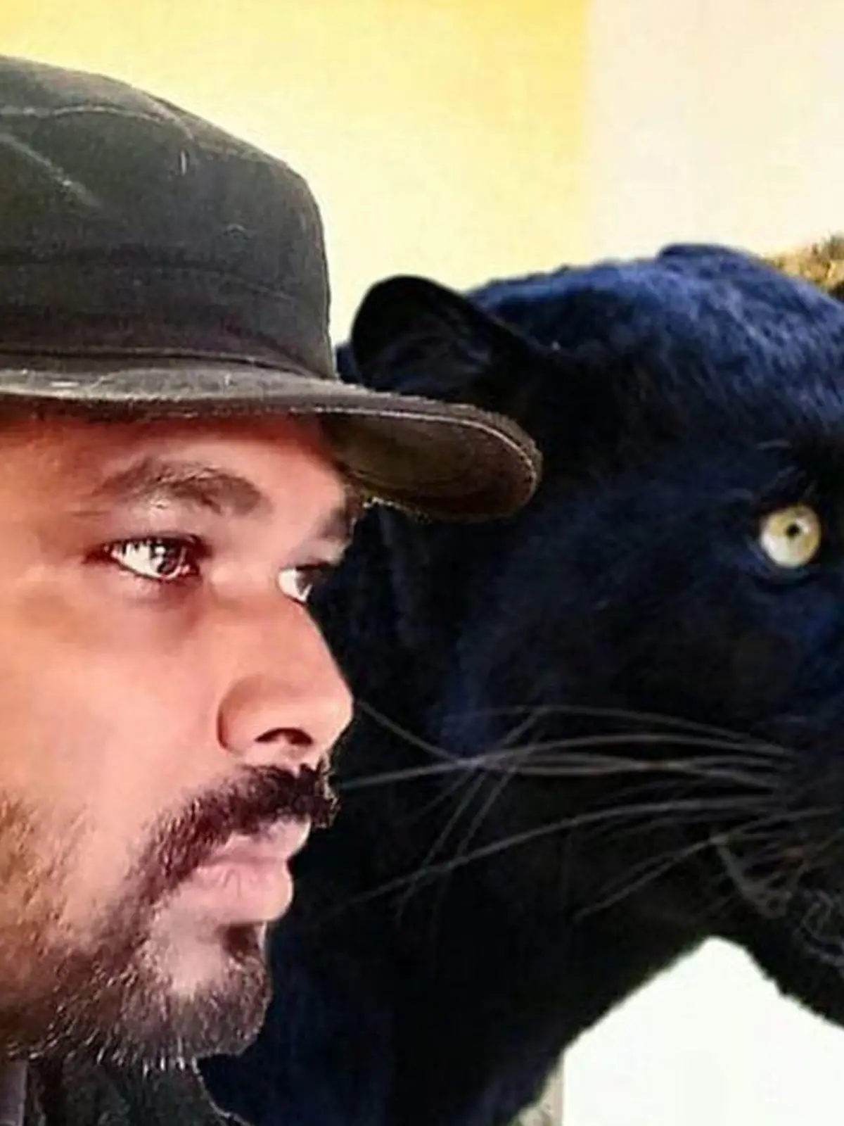 Girikumar Patil hat zwei ungewöhnliche Haustiere, mit denen er sich aktuell in seinem Keller in der Ukraine versteckt: einen Panther und einen Jaguar.